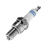 kibirkšties / kaitinamasis uždegimas