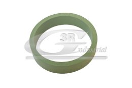 Dichtung, Ansaugkrümmer 3RG 36703