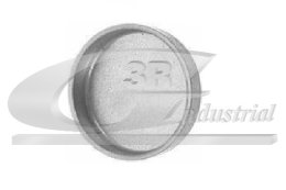 užšalęs kaištis 3RG 84013