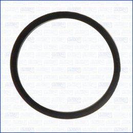 Seal, thermostat AJUSA 00522800