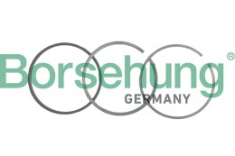 stūmoklio žiedų komplektas Borsehung B19040