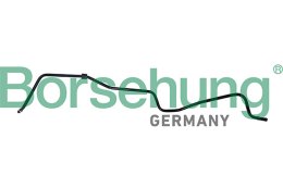 Hose, crankcase ventilation Borsehung B19264