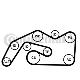 V formos rumbuotas diržas, komplektas CONTINENTAL CTAM 6PK2490K1