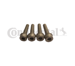 Kit bulloni, Puleggia-Albero a gomiti CONTINENTAL CTAM MS17