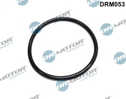 Seal, fuel filter Dr.Motor Automotive DRM053