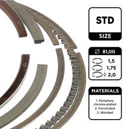 Piston Ring Kit ET ENGINETEAM R1005100