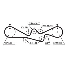 Cinghia dentata GATES T304RB