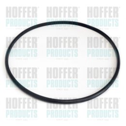 tarpiklis, degalų daviklio blokas HOFFER GSK06