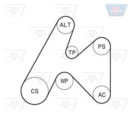 V-Ribbed Belt Set OPTIBELT 6 PK 1660KT1