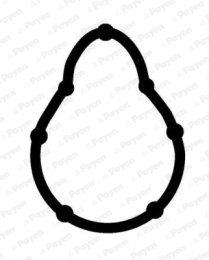 Gasket, intake manifold PAYEN JD6173