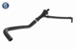 žarna, vožtuvo dangtelio alsuoklis VAICO V20-3116