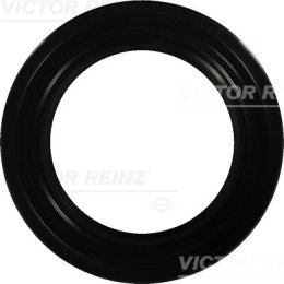 Paraolio, Albero a gomiti VICTOR REINZ 81-21001-10