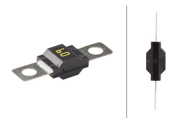 Fuse - 8JS 742 901-021 HELLA