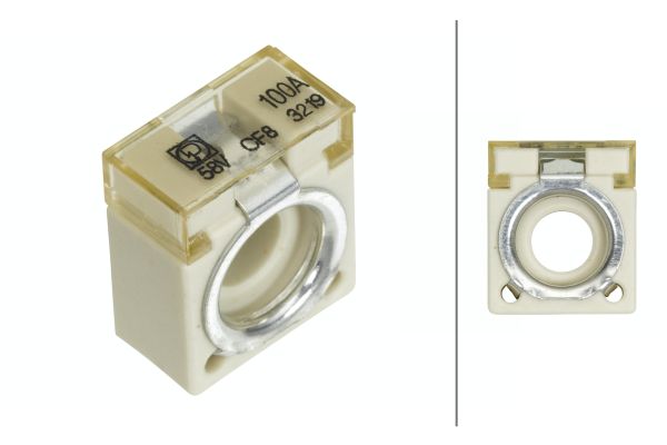 saugiklis - 8JS 747 876-021 HELLA