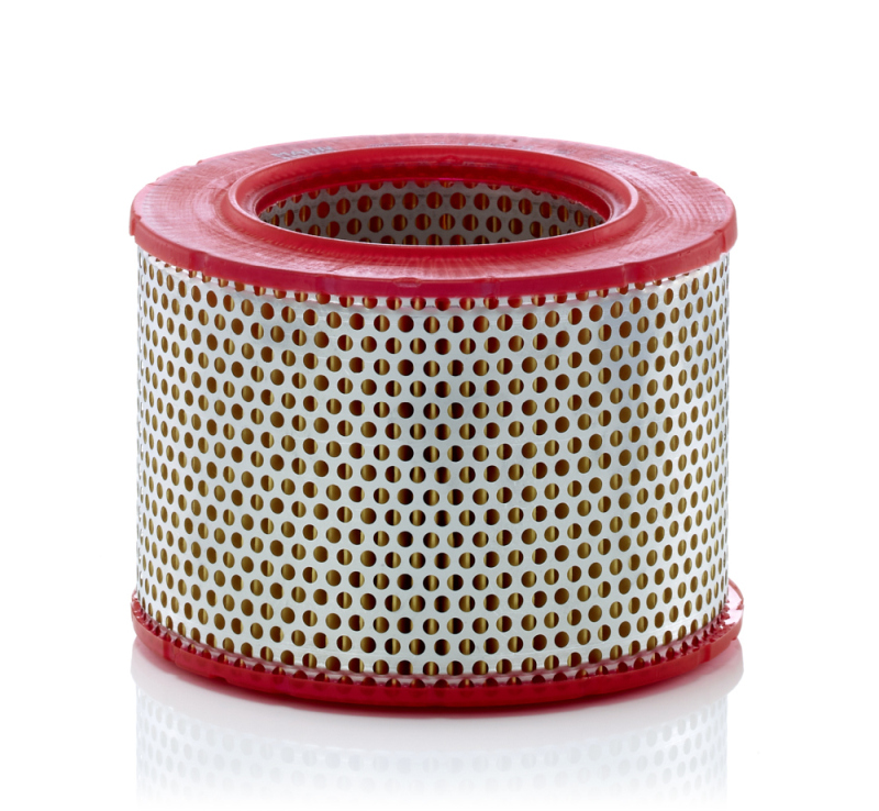 Filtro aria - C 1555/6 MANN-FILTER