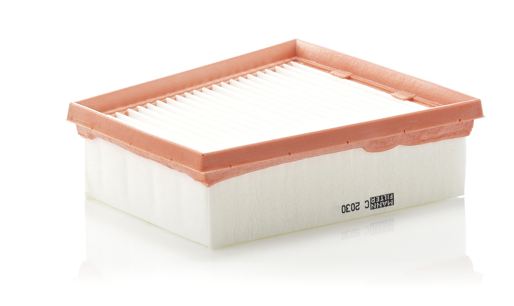 Air Filter - C 2030 MANN-FILTER