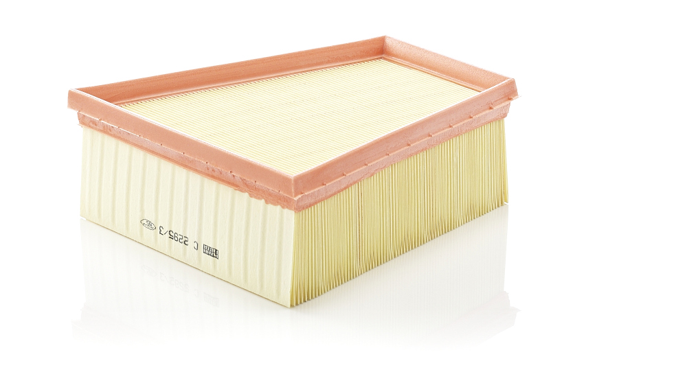 Air Filter - C 2295/3 MANN-FILTER