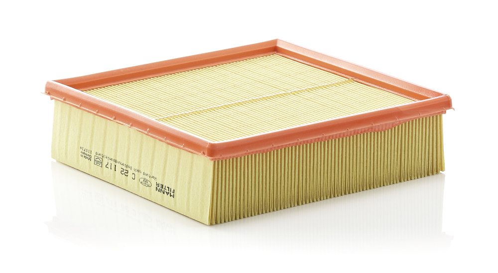 Air Filter - C 22 117 MANN-FILTER