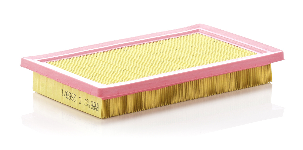 Filtro aria - C 2568/1 MANN-FILTER