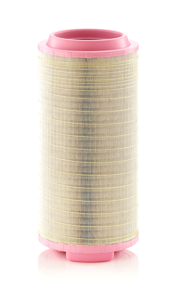Filtro aria - C 25 024 MANN-FILTER