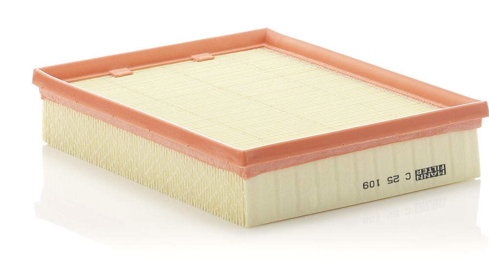 Air Filter - C 25 109 MANN-FILTER