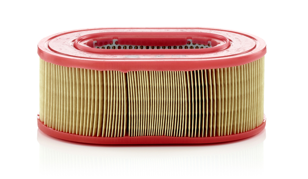Filtro aria - C 25 124 MANN-FILTER