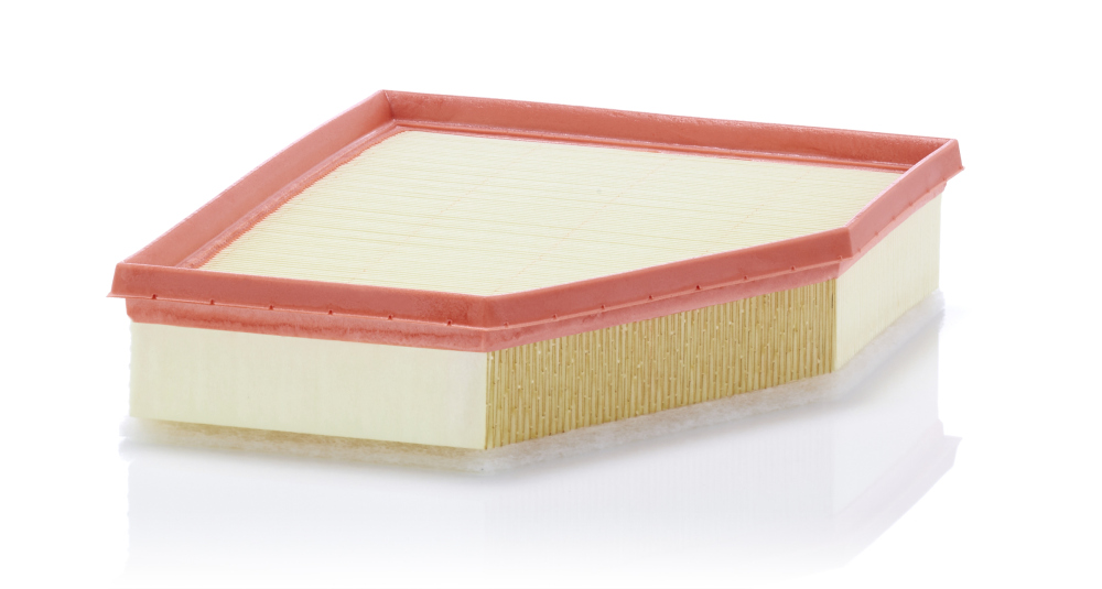 Air Filter - C 28 038 MANN-FILTER