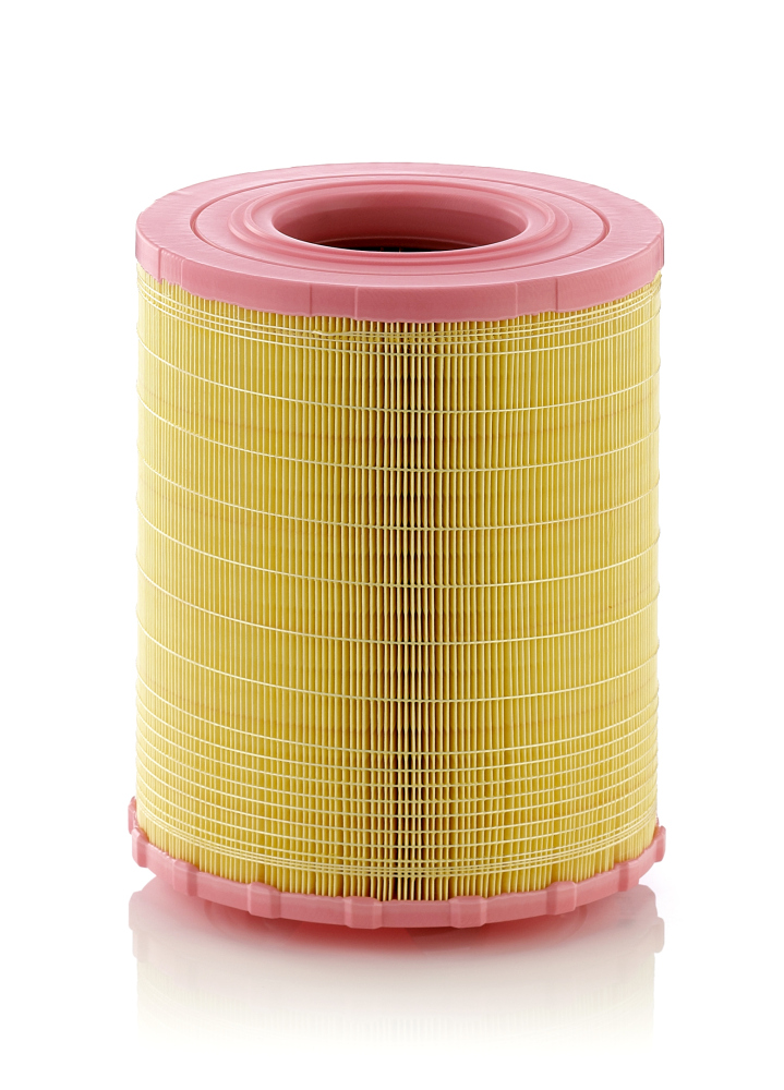 Air Filter - C 29 010 MANN-FILTER
