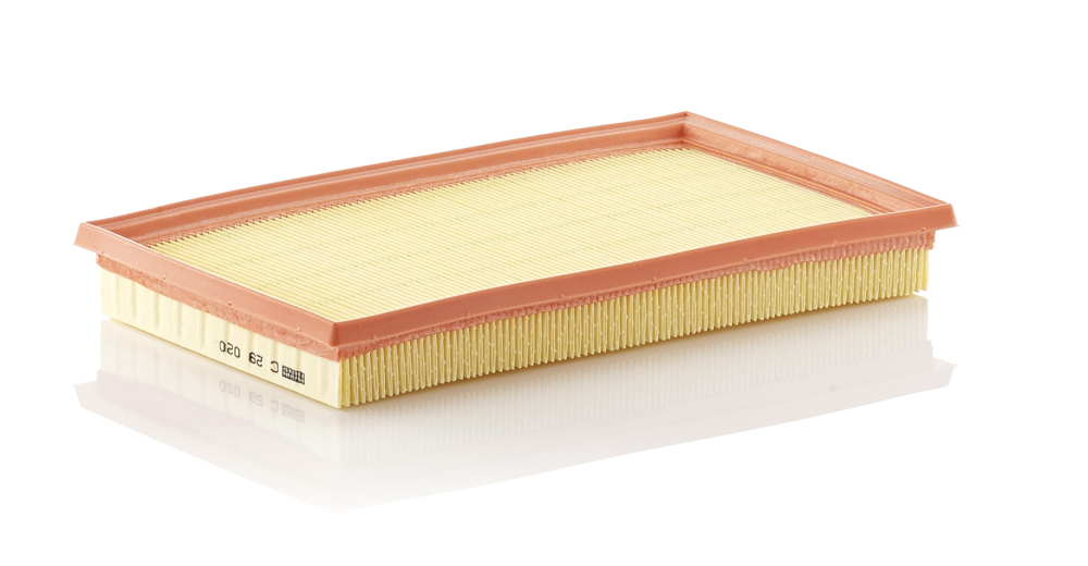 Air Filter - C 29 020 MANN-FILTER