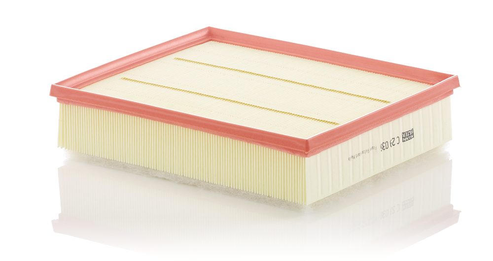 Air Filter - C 29 036 MANN-FILTER