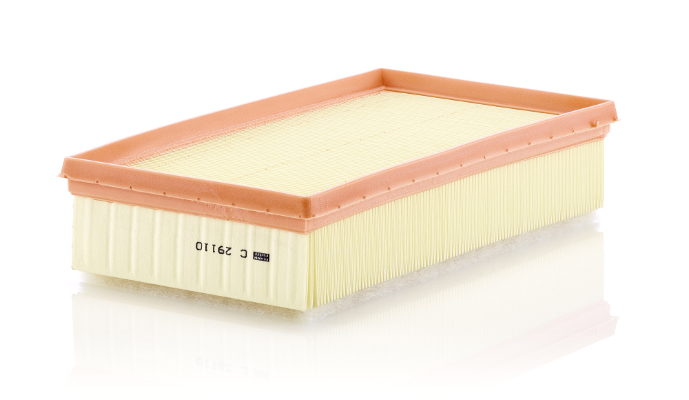Air Filter - C 29 110 MANN-FILTER