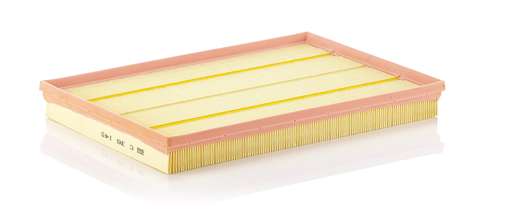 Filtro aria - C 36 145 MANN-FILTER