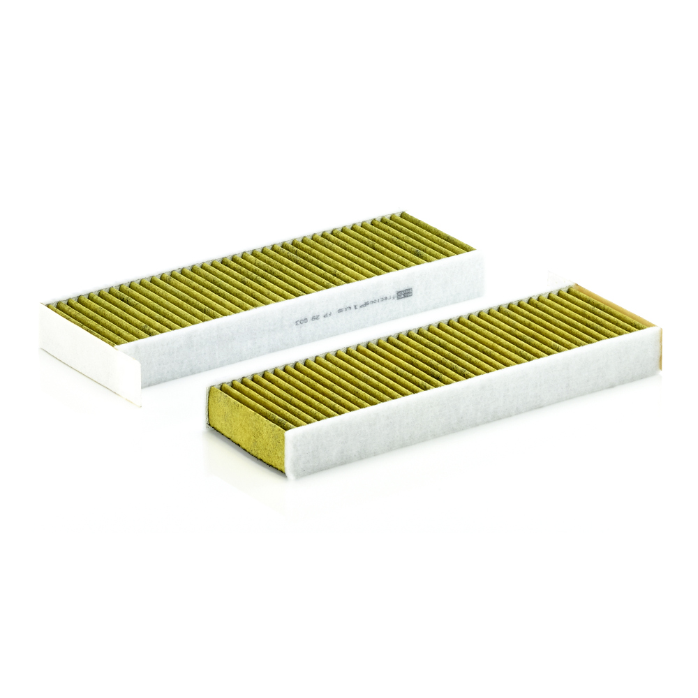 Filter, interior air - FP 29 003-2 MANN-FILTER