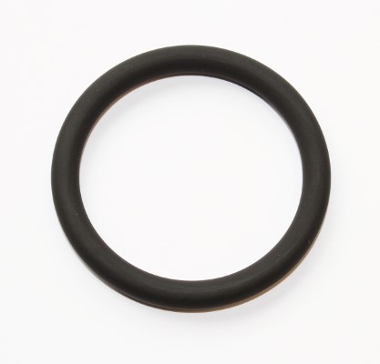 Seal Ring - 199.310 ELRING