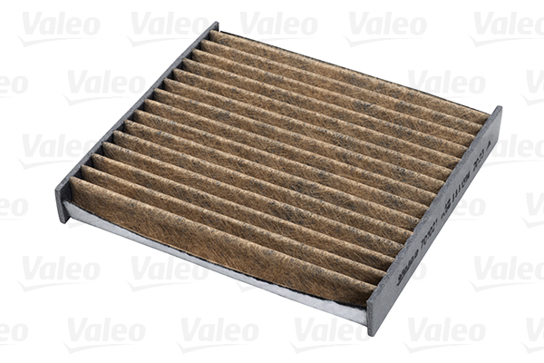 Filter, interior air - 701021 VALEO