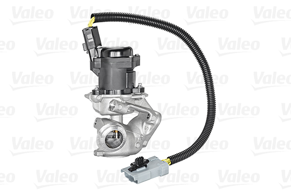 Клапан возврата ОГ - 700409 VALEO