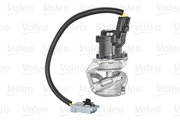 Клапан возврата ОГ - 700409 VALEO