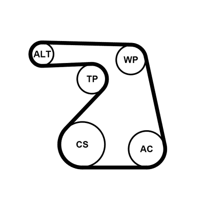 Water Pump + V-Ribbed Belt Set - 6PK1217WP1 CONTINENTAL CTAM