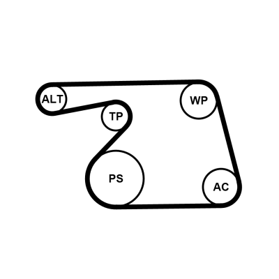 Water Pump + V-Ribbed Belt Set - 6PK1318WP1 CONTINENTAL CTAM