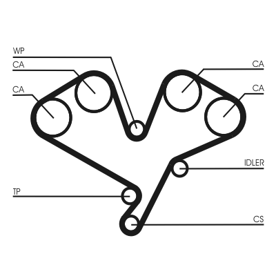 Timing Belt - CT1113 CONTINENTAL CTAM