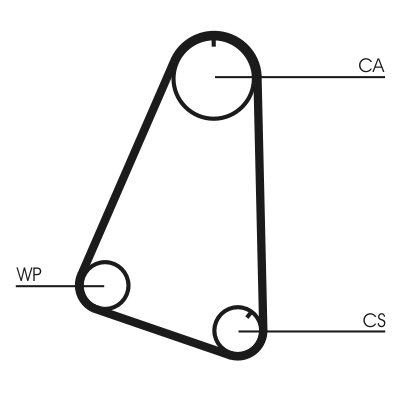 Cinghia dentata - CT504 CONTINENTAL CTAM
