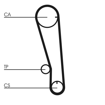 Cinghia dentata - CT665 CONTINENTAL CTAM
