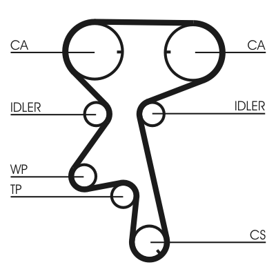 Water Pump & Timing Belt Set - CT873WP4 CONTINENTAL CTAM