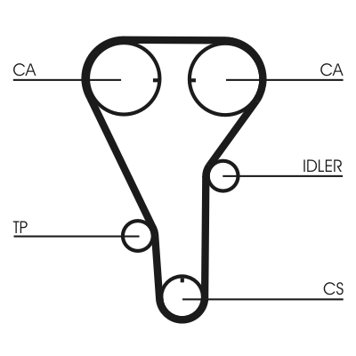 Cinghia dentata - CT972 CONTINENTAL CTAM