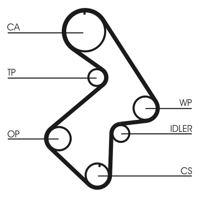 Cinghia dentata - CT998 CONTINENTAL CTAM