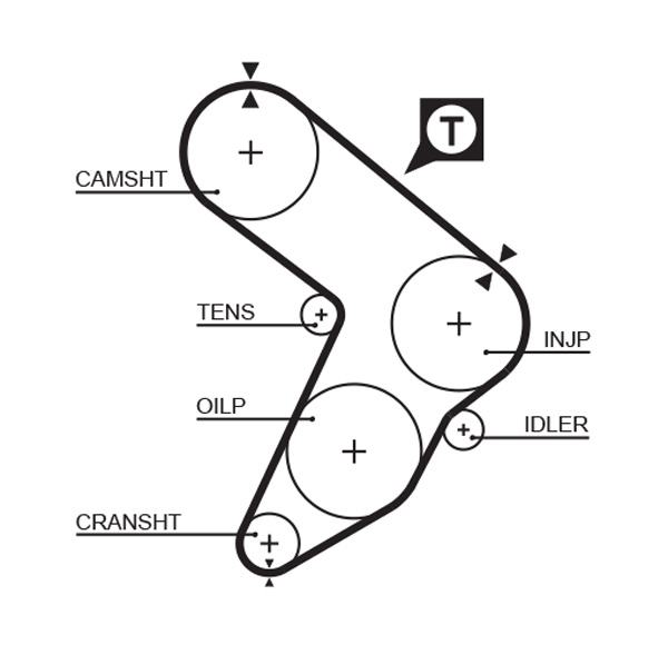 Cinghia dentata - 5032 GATES