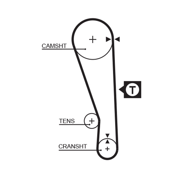Cinghia dentata - 5036 GATES