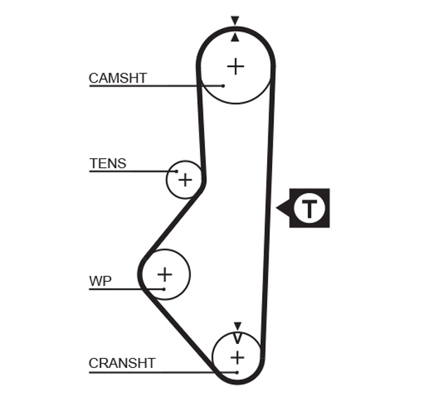 Cinghia dentata - 5076 GATES
