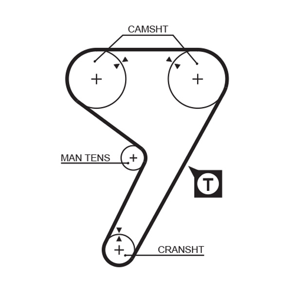 Timing Belt - 5080 GATES