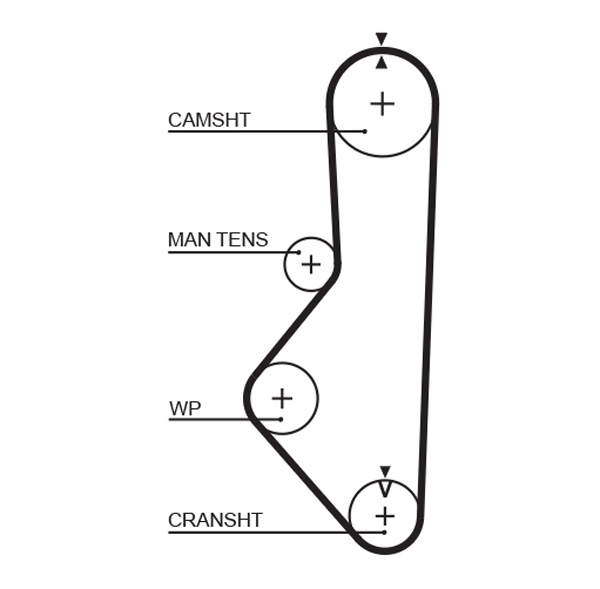 Timing Belt - 5085 GATES